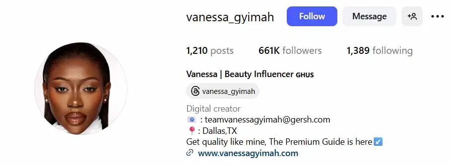 sample of optimized Instagram profile of a beauty influencer