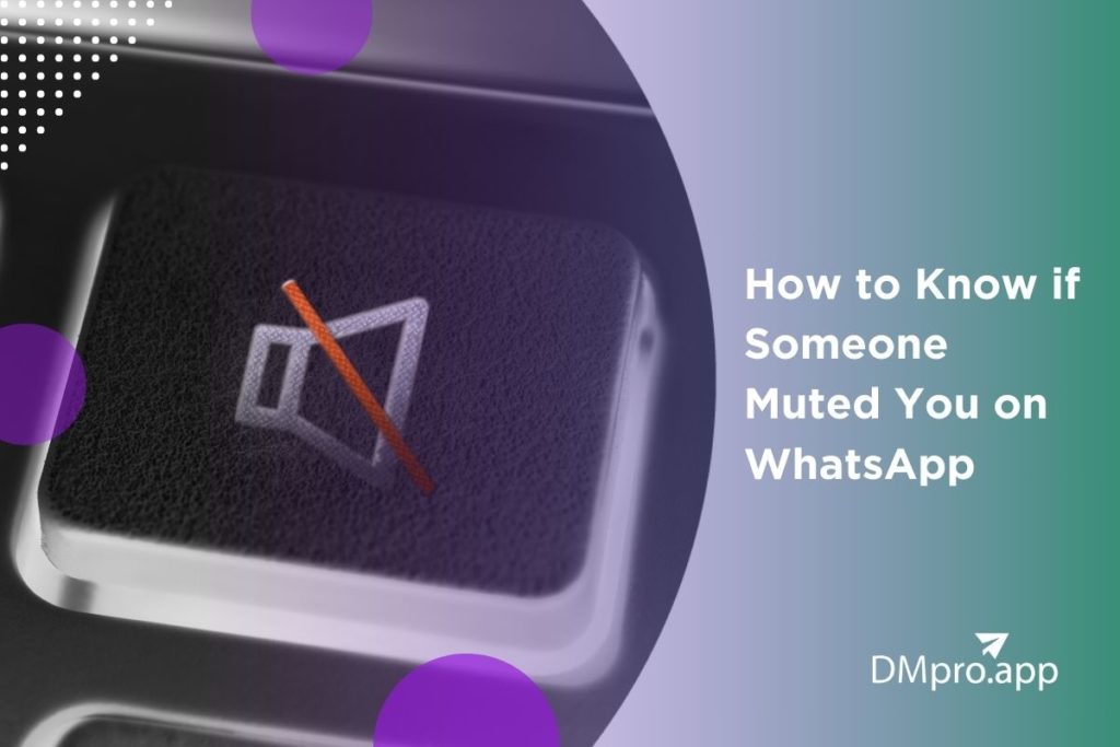 How to Know if Someone Muted You on WhatsApp: 7 Easy Ways in 2024