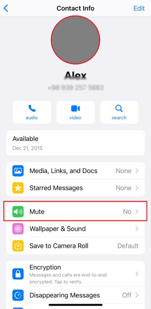 Muting on WhatsApp