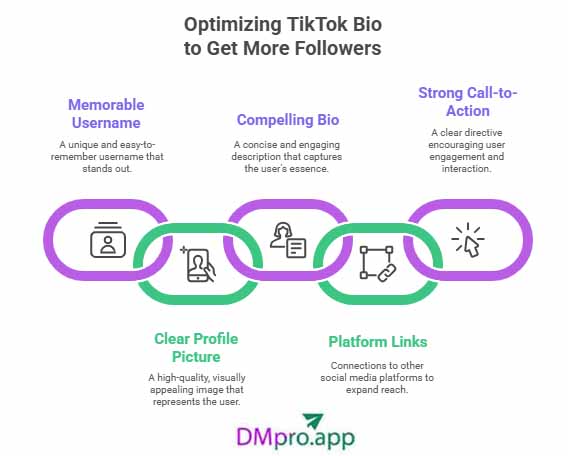 TikTok bio optimization infographic