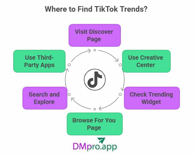 where to find tiktok trends infographic