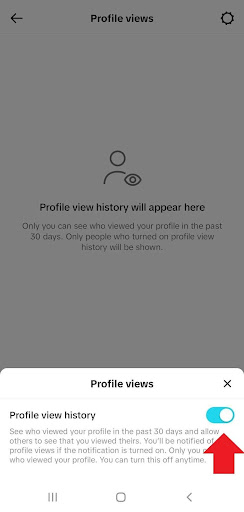 how to disable tiktok profile view history