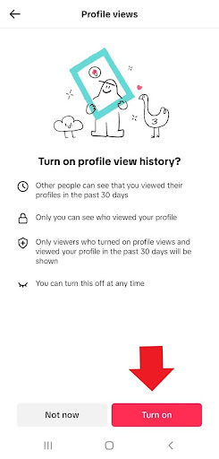 how to turn on profile view on tiktok