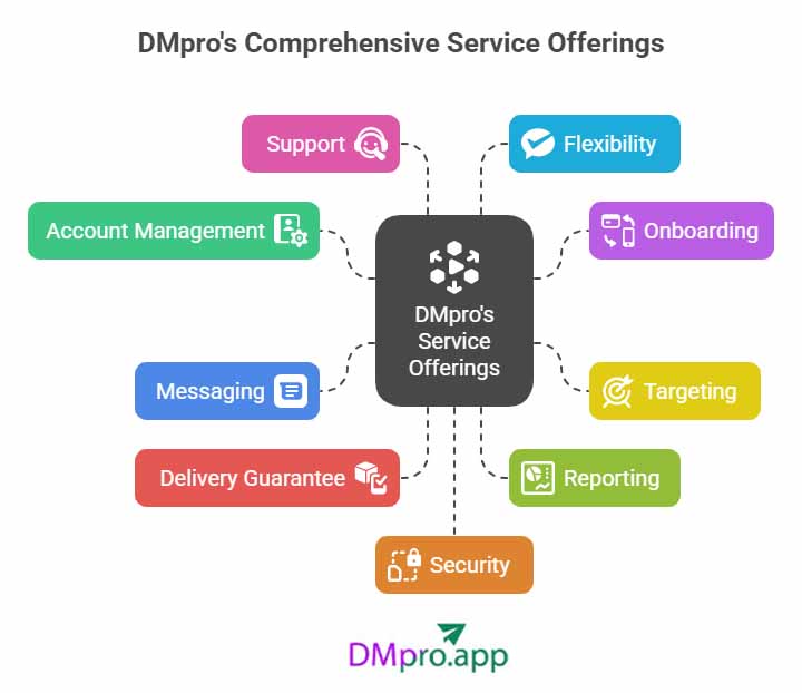 DMpro services- infographic