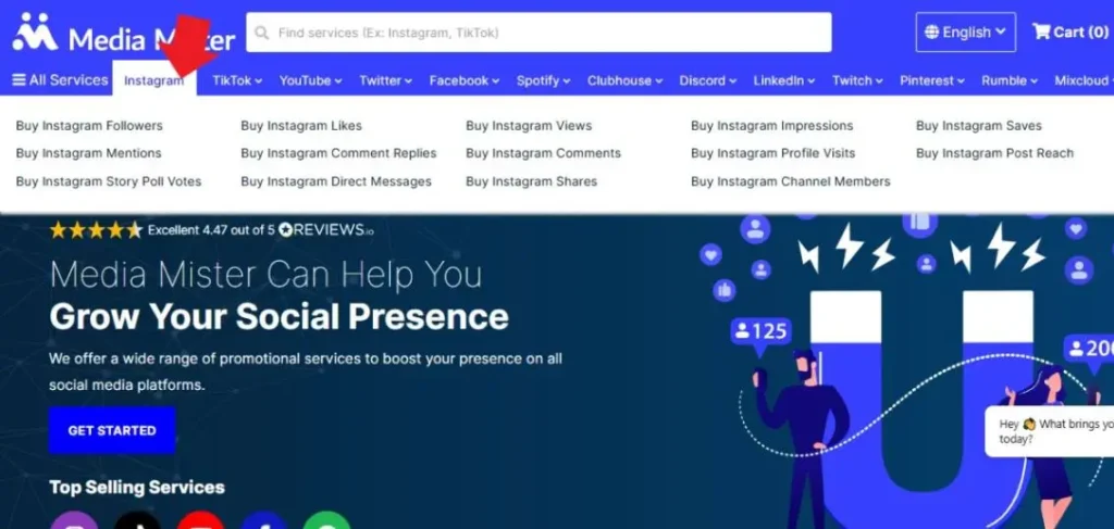how mediamister works