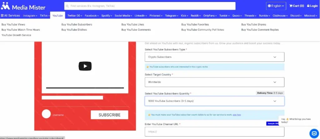 Media mister youtube services