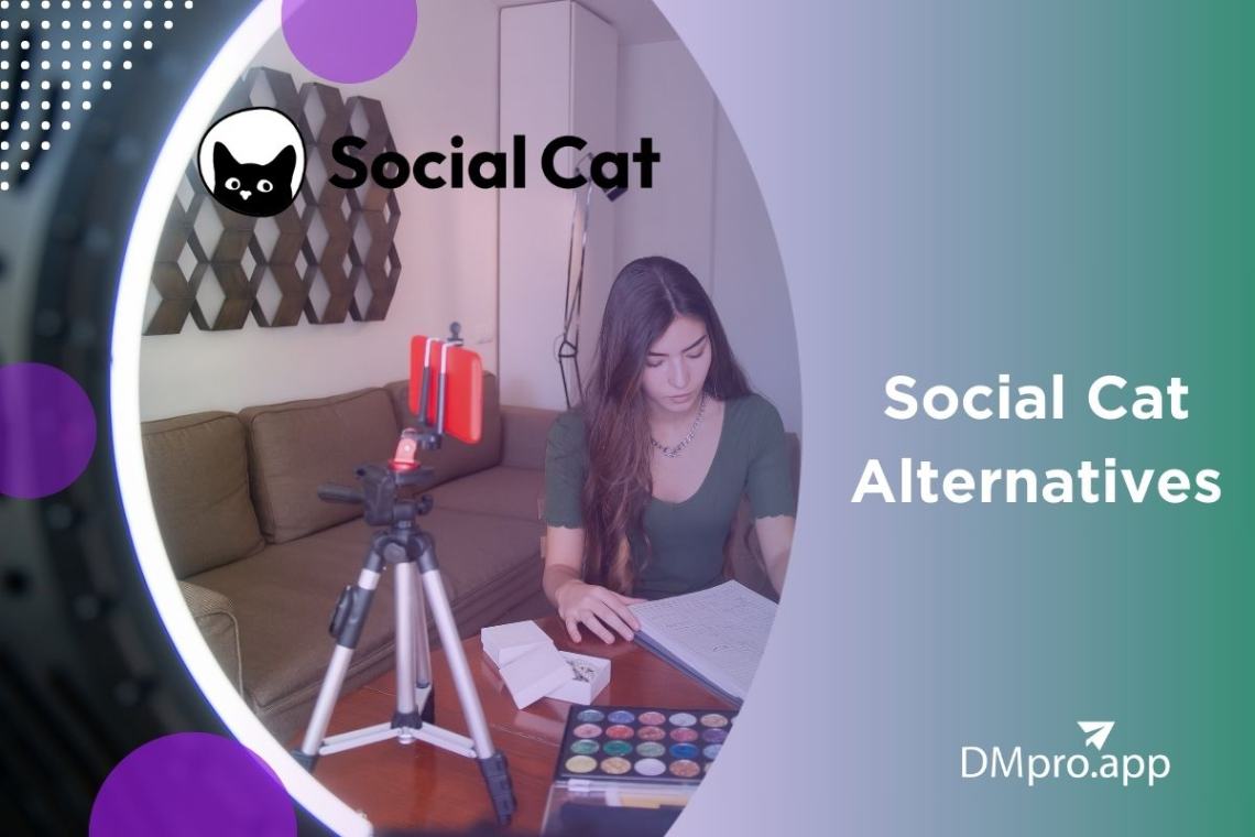 Social cat competitors