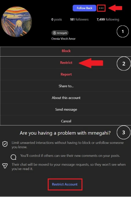 Restricting User - How to Hide Messages on Instagram