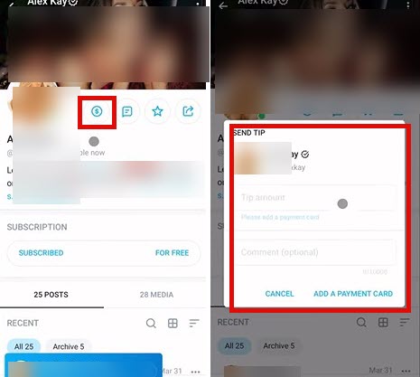 How To Send Tips On OnlyFans